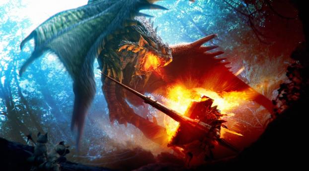 fight, dragon, fire Wallpaper 640x1136 Resolution