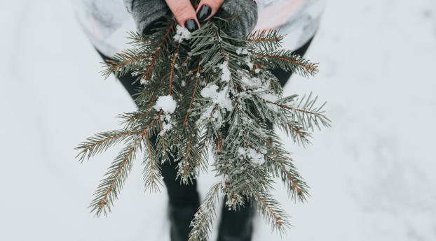 fir, snow, branches Wallpaper 1920x1080 Resolution