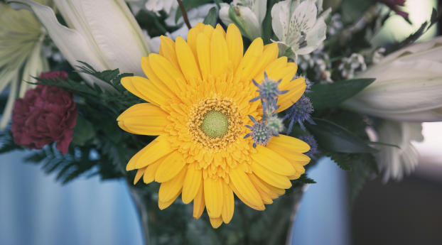 flower, yellow, bud Wallpaper 1080x224 Resolution