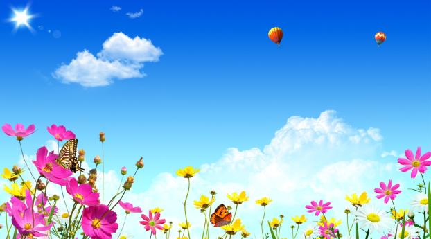 flowers, sky, butterflies Wallpaper