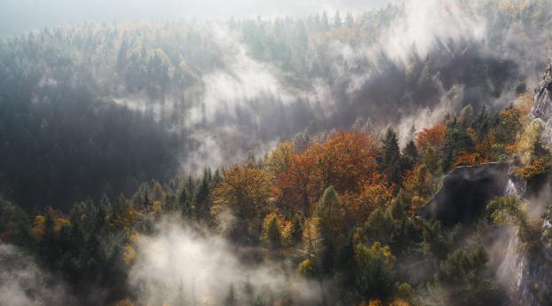 fog, trees, mountains Wallpaper 1024x768 Resolution