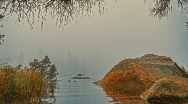 Foggy Lake Wallpaper 800x1280 Resolution