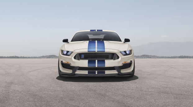Ford Mustang Shelby GT350 Wallpaper 1440x2992 Resolution