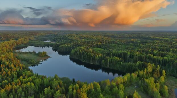 Forest Landscape HD Aerial View Wallpaper