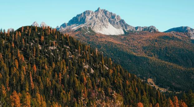 Forest Mountains And Landscape Fall Wallpaper 750x1334 Resolution