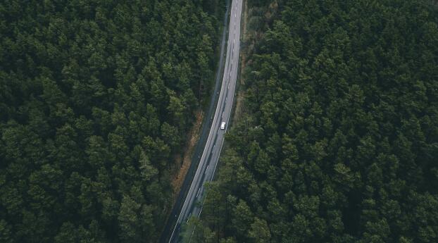 Forest Road Aerial 4k Photography 2022 Wallpaper 2100x900 Resolution