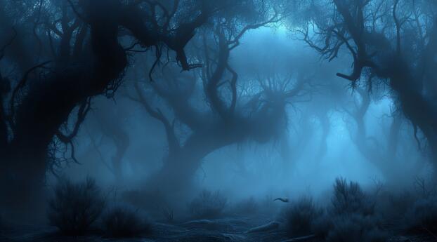 Forest Shadow HD Fantasy Forest Wallpaper