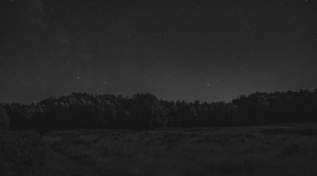 Forest Starry Night Monochrome Wallpaper 1336x768 Resolution