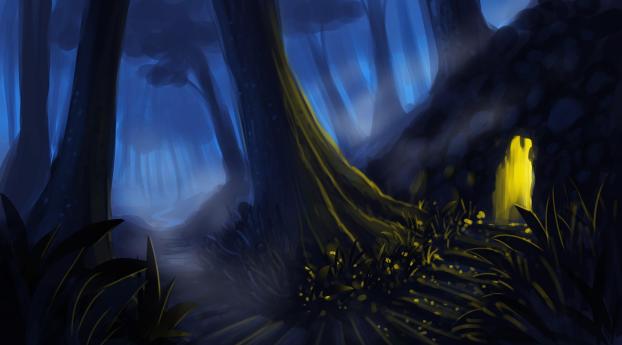 forest, trees, paths Wallpaper 1080x2340 Resolution