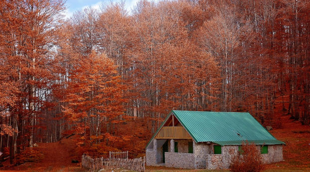 Forests Houses Autumn In Struga Macedonia Wallpaper 320x568 Resolution