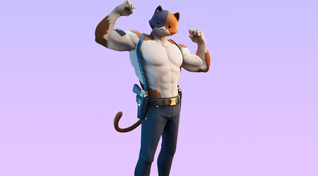 Fortnite Meowscles Skin Outfit 4K Wallpaper 1080x2244 Resolution