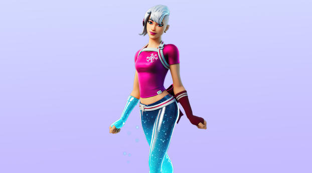 Frosted Flurry Fortnite Wallpaper 1080x1920 Resolution