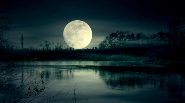 Full Moon Night Near Lake Wallpaper 1680x1050 Resolution