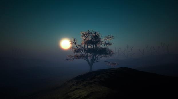 Full Moon on Foggy Night Wallpaper 720x1280 Resolution