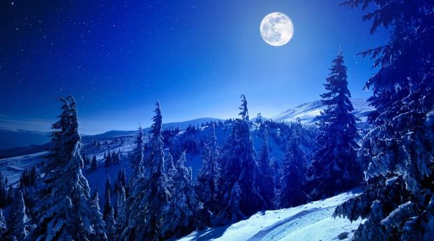 Full Moon Over Winter Forest Wallpaper 319x720 Resolution