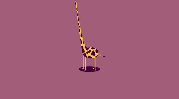 giraffe, form, light Wallpaper
