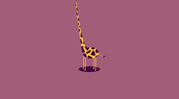 giraffe, neck, torso Wallpaper