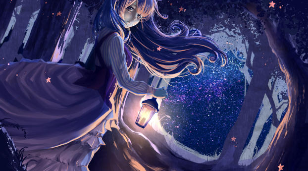 girl, anime, lantern Wallpaper 1080x2160 Resolution