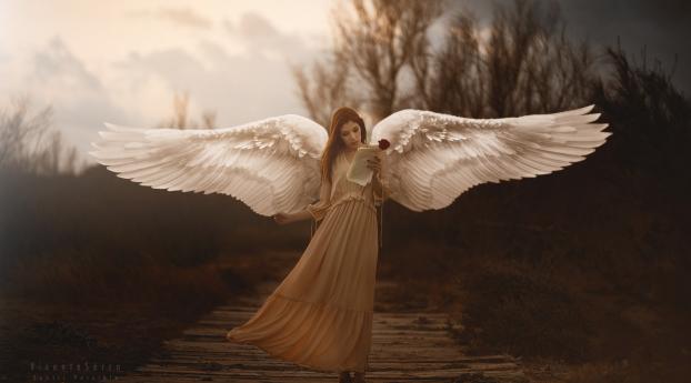 Girl With Wings Angel Wallpaper 640x480 Resolution