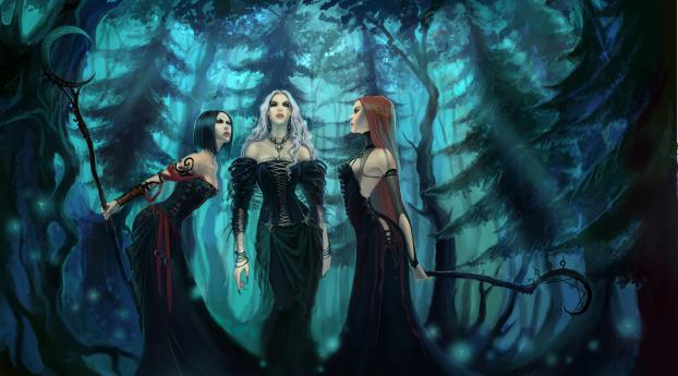 girls, witches, wood Wallpaper 480x484 Resolution