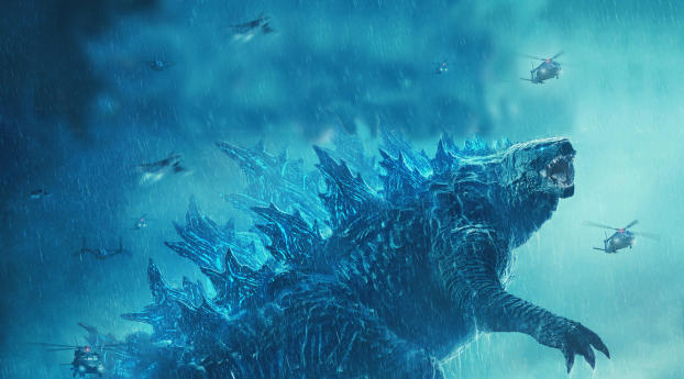 Godzilla 2019 Wallpaper 480x854 Resolution
