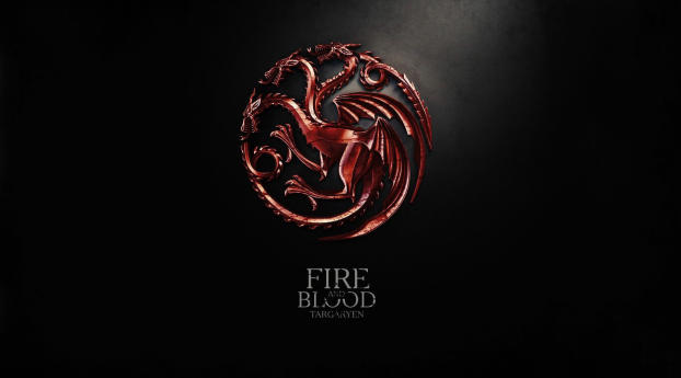 GOT Fire and Blood Targaryen Wallpaper 240x320 Resolution