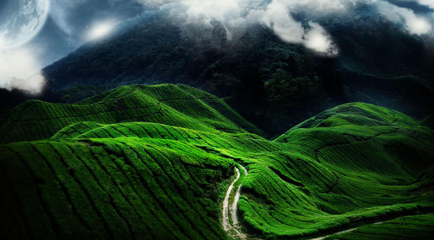 Grass Covered Mountain Road Wallpaper 319x720 Resolution