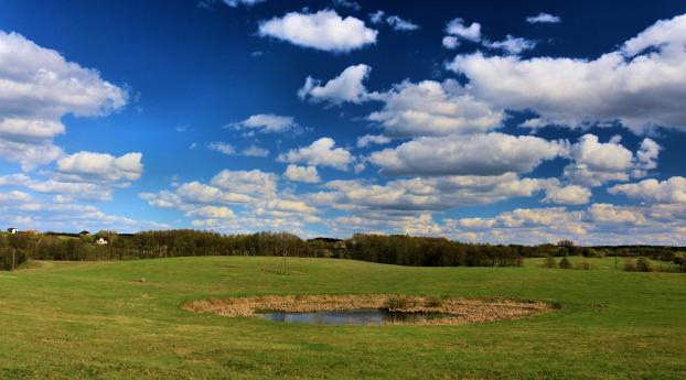 grass, sky, clouds Wallpaper 640x1136 Resolution