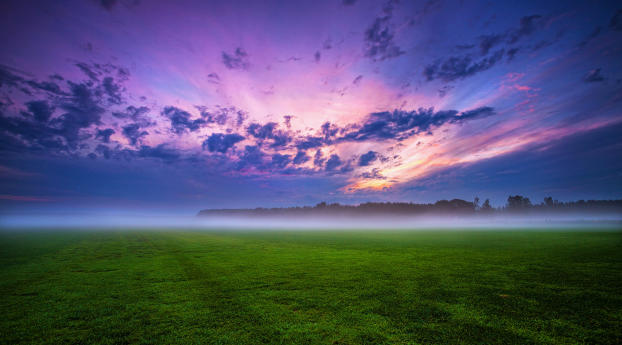 Green Grass And Fogg Under Purple Sky During Sunset Wallpaper 1080x2520 Resolution