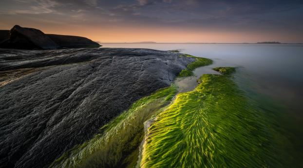Greenish Coastline in Sunset Wallpaper 1024x768 Resolution