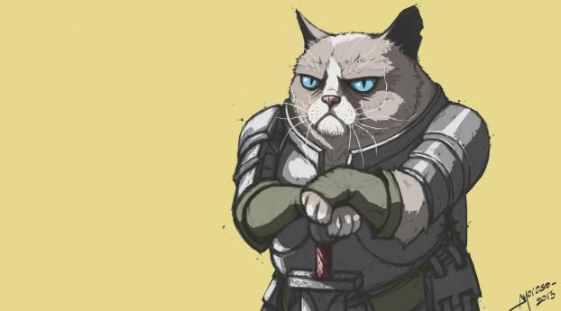 grumpy cat, armor, meme Wallpaper 1080x2340 Resolution