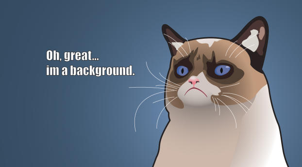 grumpy cat, tardar sauce, angry kitty Wallpaper