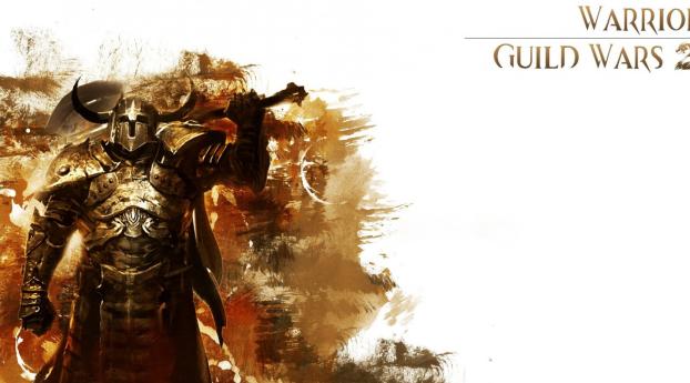 guild wars 2, warrior, sword Wallpaper 2048x1152 Resolution