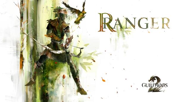 guild wars, ranger, bow Wallpaper 1080x2280 Resolution