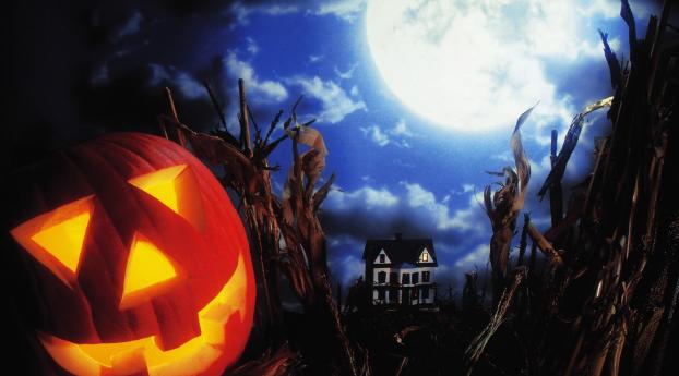halloween, holiday, pumpkin Wallpaper 320x320 Resolution