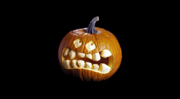 halloween, pumpkin, jacks lantern Wallpaper 320x290 Resolution