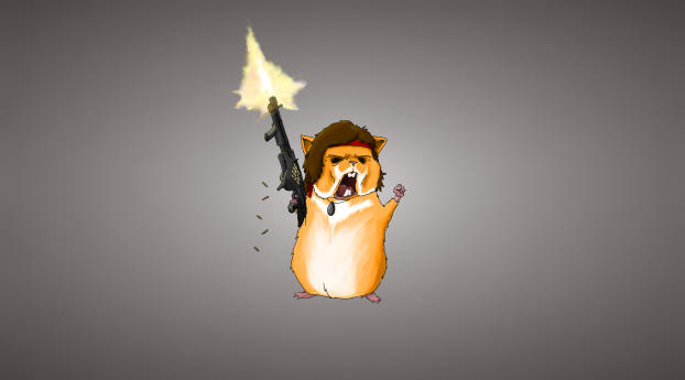 hamster, guinea pig, rodent Wallpaper