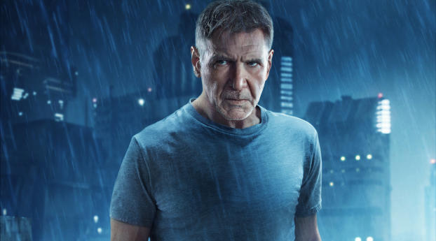 Harrison Ford As Rick Deckard Blade Runner 2049 Wallpaper 1080x2280 Resolution