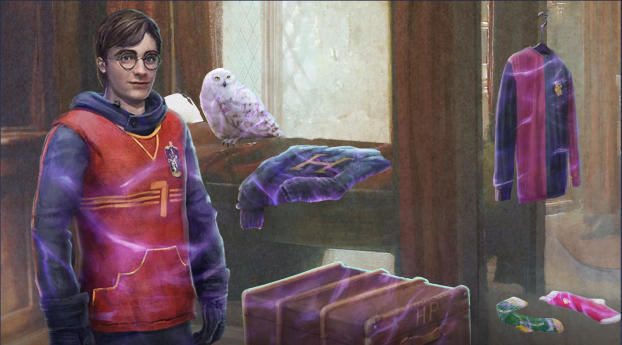 Harry Potter Wizards Unite Wallpaper 720x1280 Resolution