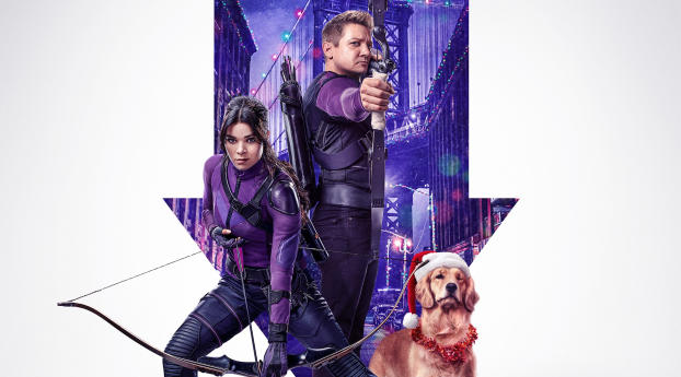 Hawkeye HD Poster Wallpaper 360x480 Resolution