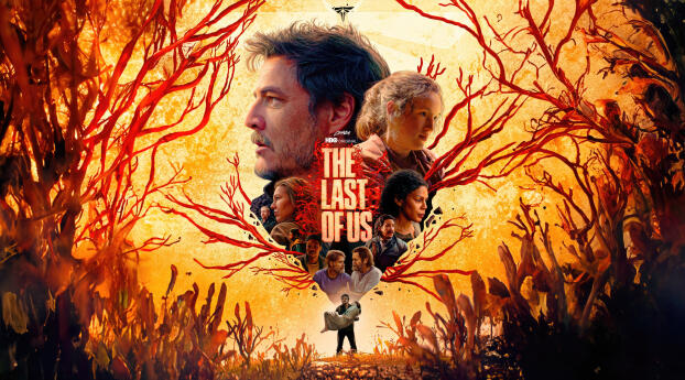 HBO Original The Last of Us 4k Wallpaper