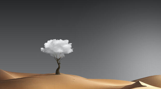 HD Digital Tree in Desert Wallpaper 1440x2992 Resolution