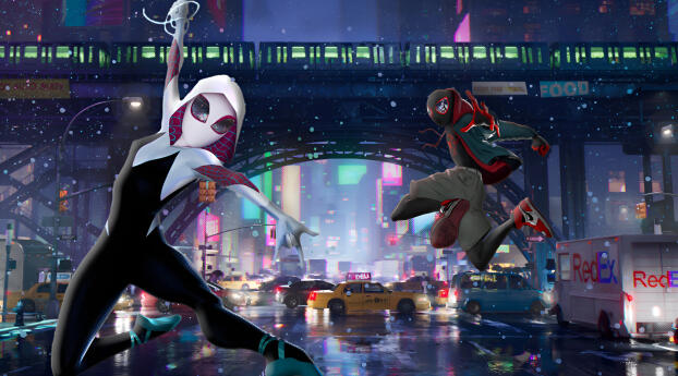 HD  Into The Spider-Verse Wallpaper 1080x2232 Resolution