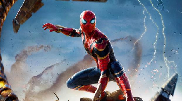 HD Spider Man No Way Home Official Wallpaper 480x484 Resolution