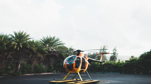 helicopter, area, palm trees Wallpaper 1242x2688 Resolution