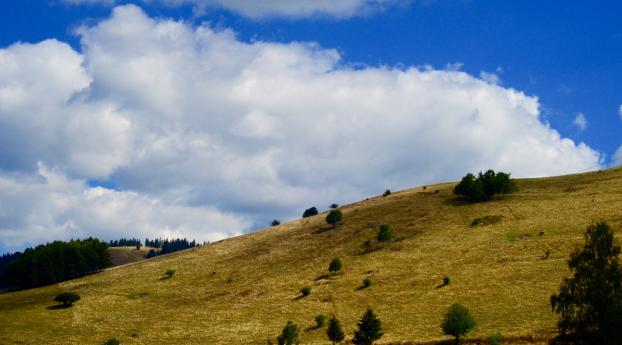 hill, grass, sky Wallpaper 2560x1024 Resolution