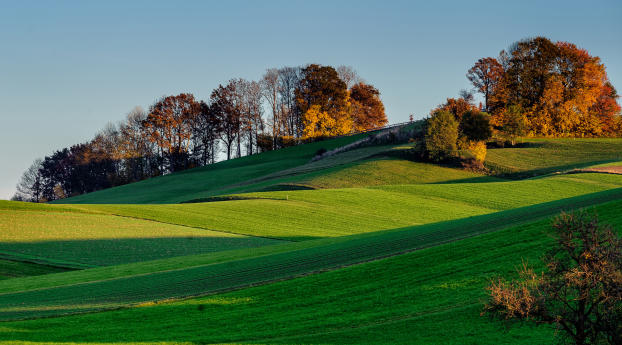 hills, grass, sky Wallpaper 320x240 Resolution