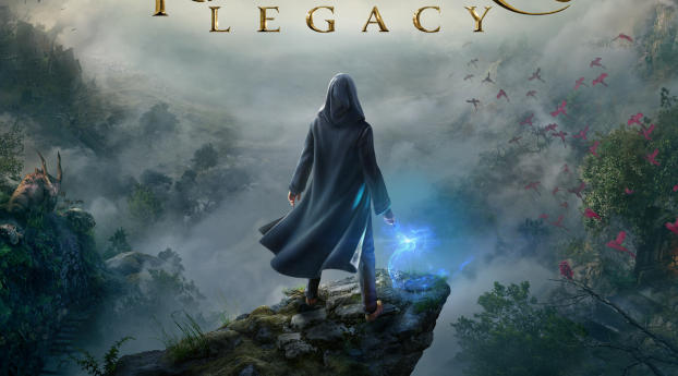 Hogwarts Legacy Poster Wallpaper 480x320 Resolution