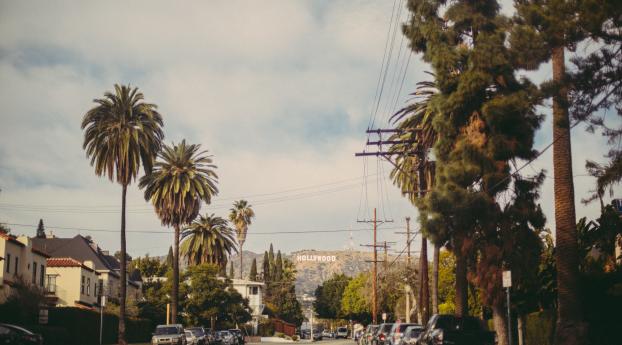 hollywood, road, trees Wallpaper 1360x768 Resolution