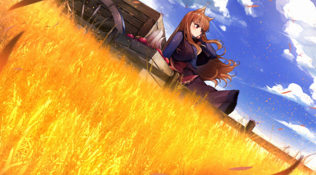 Holo HD Spice & Wolf Wallpaper 1080x2256 Resolution